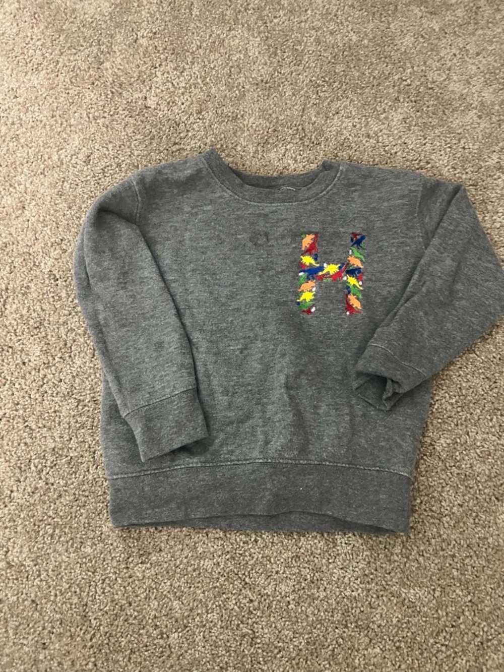 monogram “H” Dinosaur embodied sweatshirt